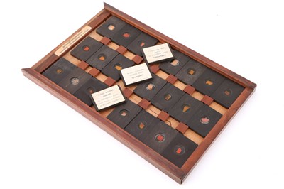 Lot 21 - A Cased Set of Hyrtl Microscope Slides
