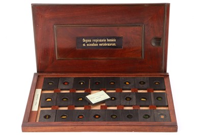 Lot 22 - A Cased Set of Hyrtl Microscope Slides