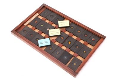 Lot 23 - A Cased Set of Hyrtl Microscope Slides