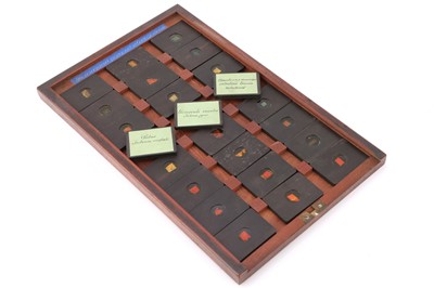 Lot 24 - A Cased Set of Hyrtl Microscope Slides