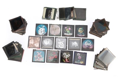 Lot 507 - Large Collection of Magic Lantern Slides of flowers