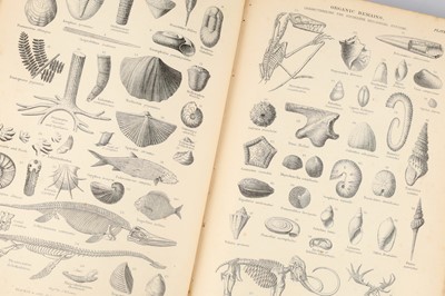 Lot 513 - Goldsmith, Oliver, A History of the Earth and Animated Nature