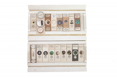 Lot 27 - A Very Fine Collection of Dry Mounted Marine, Fossil, Crystal & Geological Microscope Specimen Slides