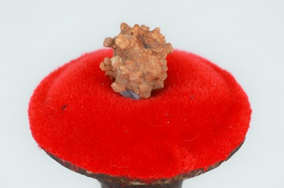 Lot 158 - A Llama Bezoar Stone