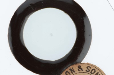 Lot 261 - William Webb Micro-Engraved Microscope Slide