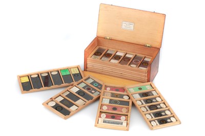 Lot 257 - A Good Set of 72 Microscope Slides