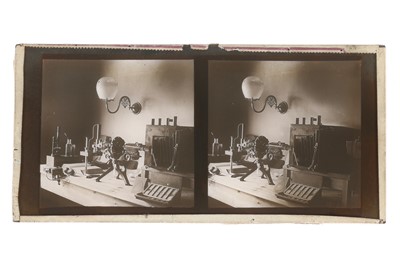 Lot 58 - Stereo Diapositive of a Baker Microscope Set up for Macrophotography