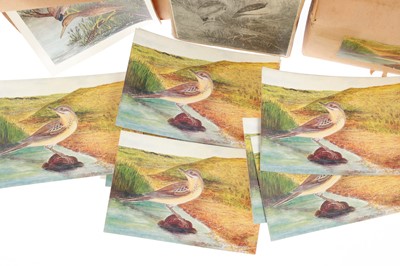 Lot 946 - James Maurice Harrison, Printers Blocks for Birds of Kent