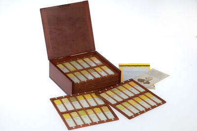 Lot 840 - Large Collection of Microscope Microphotograph Slides