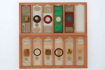 Lot 841 - Collection of Geological Microscope Slides
