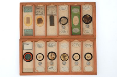 Lot 841 - Collection of Geological Microscope Slides