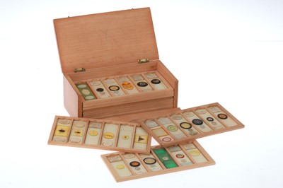 Lot 844 - Collection of Microscope Slides