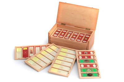 Lot 258 - Good Clean Collection of 57 Victorian Microscope Slides