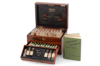 Lot 151 - Large & Impressive Homeopathic Medicine Chest