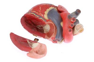 Lot 418 - Anatomical Model of a Human Heart