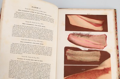 Lot 756 - Various Medical Texts