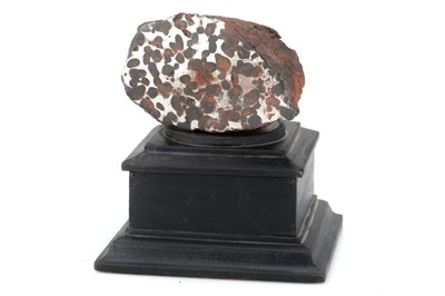 Lot 145 - Meteorite, Sericho Pallasite, 550g