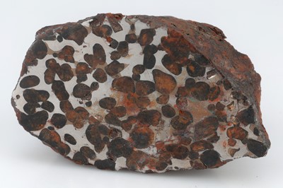 Lot 145 - Meteorite, Sericho Pallasite, 550g