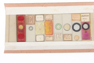 Lot 464 - Collection of Microscope Slides