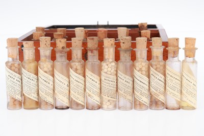 Lot 680 - Homeopathic Medicine Chest
