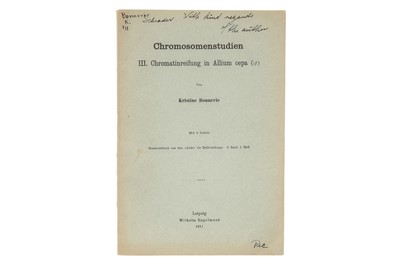 Lot 436 - Bonnevie, Kristine, Chromosomenstudien III. Chromatinreifung in Allium cepa. Mit 4 Tafeln