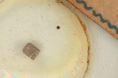 Lot 266 - Collection of 6 Microscope Microphotographs, lab