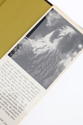 Lot 422 - Baker, J. A. The Peregrine.
