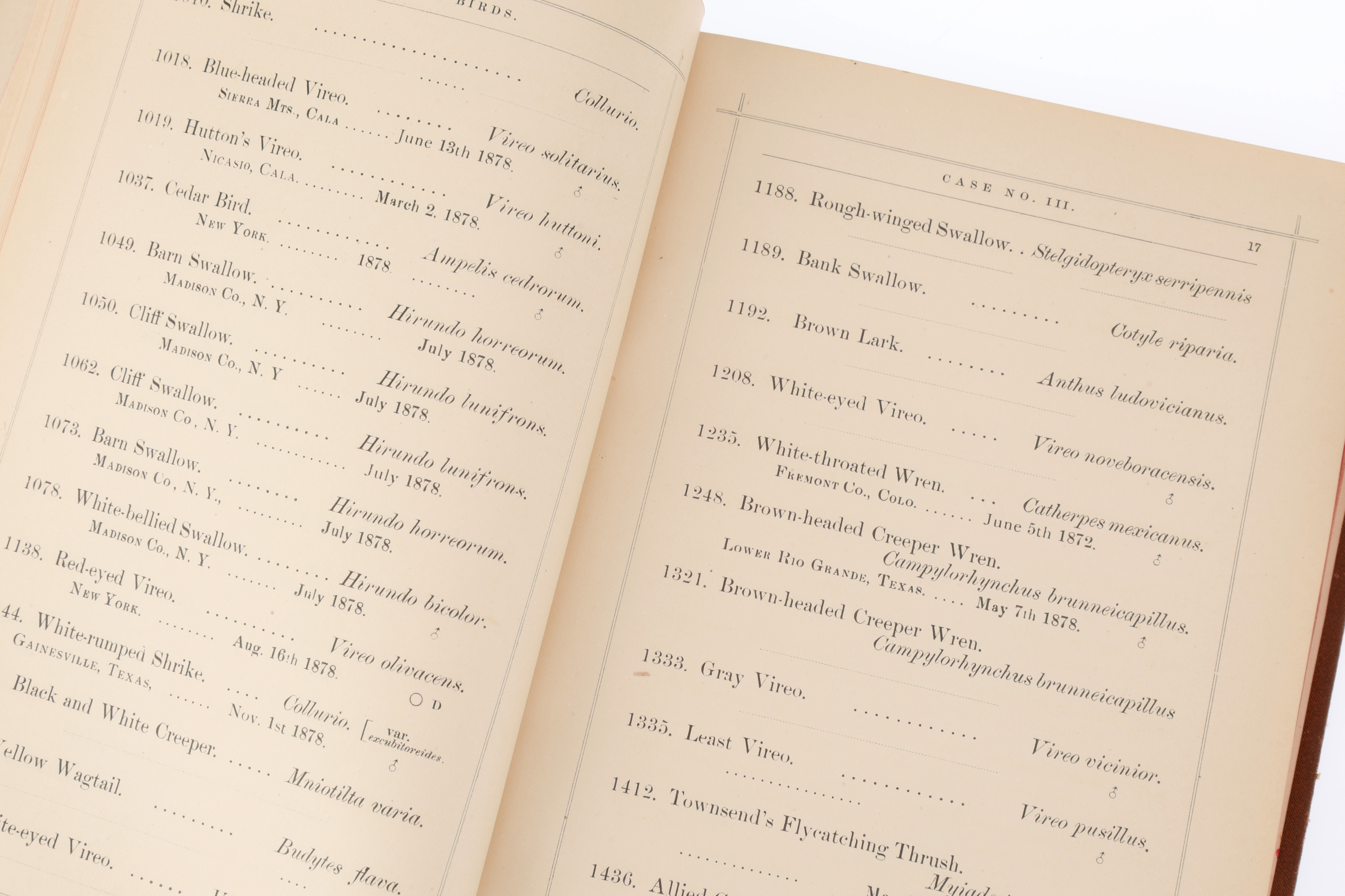 Lot 735 Smith, Greene. Catalogue of Birds, Eggs and