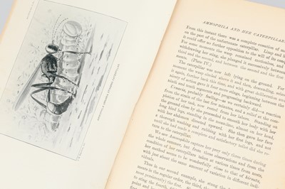 Lot 726 - Peckham, George W. & Elizabeth G. On the Instincts and Habits of the Solitary Wasps