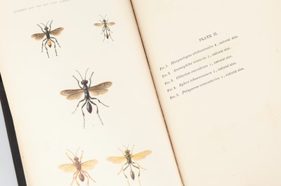 Lot 726 - Peckham, George W. & Elizabeth G. On the Instincts and Habits of the Solitary Wasps