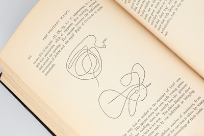Lot 726 - Peckham, George W. & Elizabeth G. On the Instincts and Habits of the Solitary Wasps