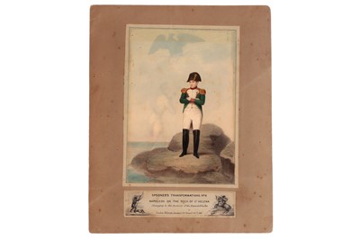Lot 213 - Spooner's Transformation, Napoleon
