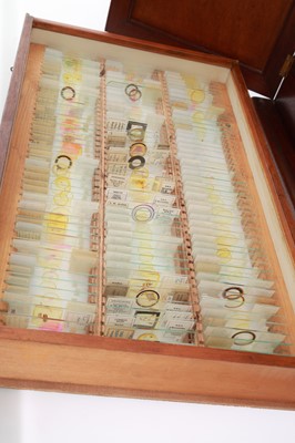 Lot 502 - Entomological Speciment Cabinet Converted To Microscope Slides