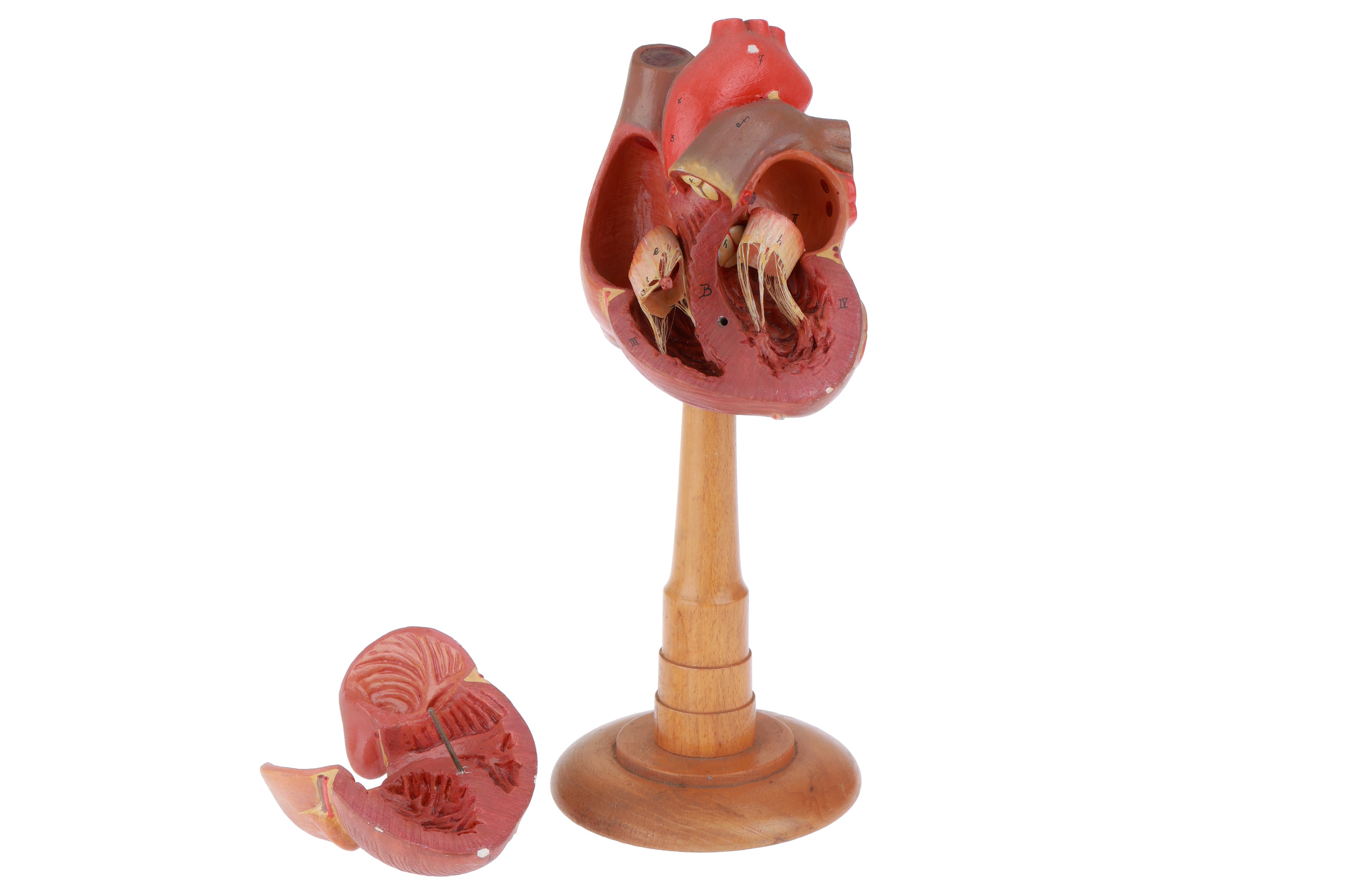 Lot 296 - Rouilly, Adam, Anatomical Model of a Heart,