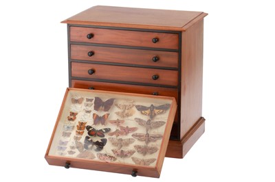 Lot 311 - Gardner, James, Edwardian Butterfly Collection