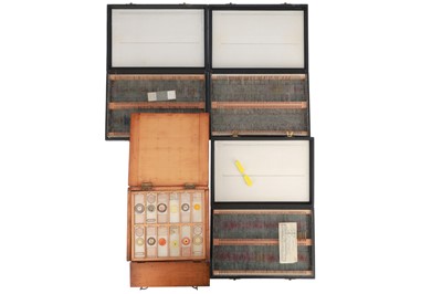 Lot 424 - Collection of Microscope Slides