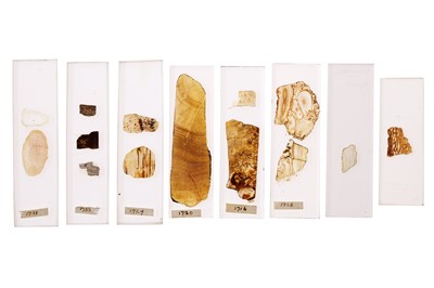 Lot 224 - Important & Early Uncovered Geological Microscope Specimen Slides in the Manner of Sanderson