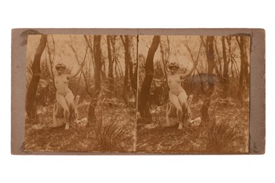 Lot 118 - Stereocards, Erotic Nudes