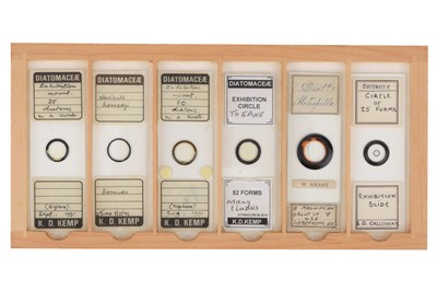 Lot 220 - Collection of Exhibition Diatom Microscope Slides