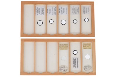 Lot 221 - Collection of Microscope Slides by Horace Dall & Spike Walker