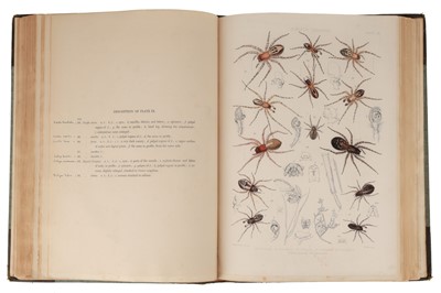 Lot 302 - Blackwall, John, A History of Spiders, 1861