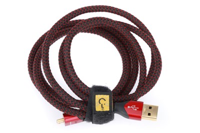 Lot 300 - An Audioquest Cinnamon USB Cable
