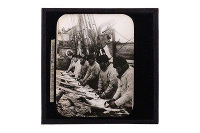 Lot 127 - Magic Lantern Slides, Whale Hunting