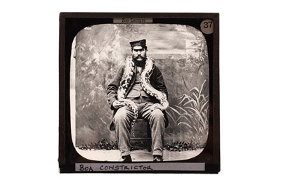 Lot 145 - Magic Lantern Slides, London Zoo
