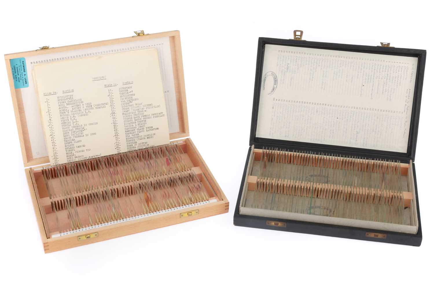 Lot 765 - Microscope Slides by Professor Sir Bryan