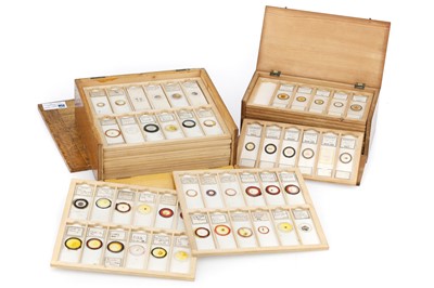 Lot 471 - Collection of Microscope Slides