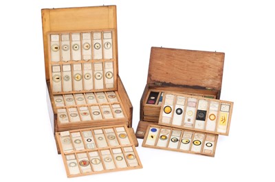 Lot 645 - Microscope Slide Collection