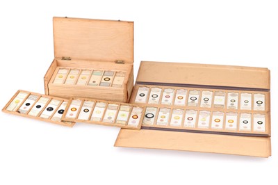 Lot 649 - Collection of Diatom Microscope Slides