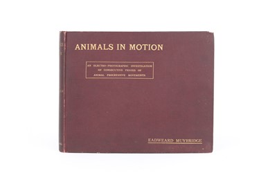 Lot 91 - MYBRIDGE, EADWEARD, Animals in Motion, The Human Figure in Motion