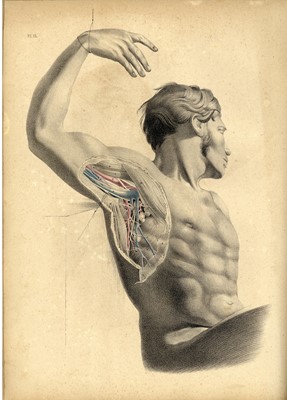 Lot 92 - MacLise (Joseph), Surgical Anatomy